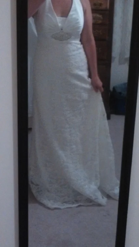 Price Meltdown David's Bridal WG3125