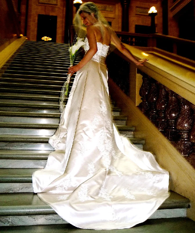 Bargain Bin David's Bridal T8580