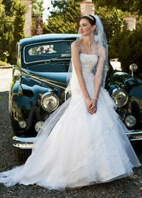 Flash Sale David's Bridal  WG3199